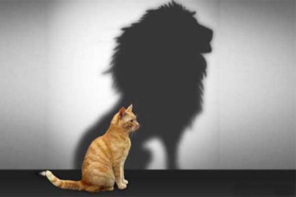 Body Image and Self Esteem